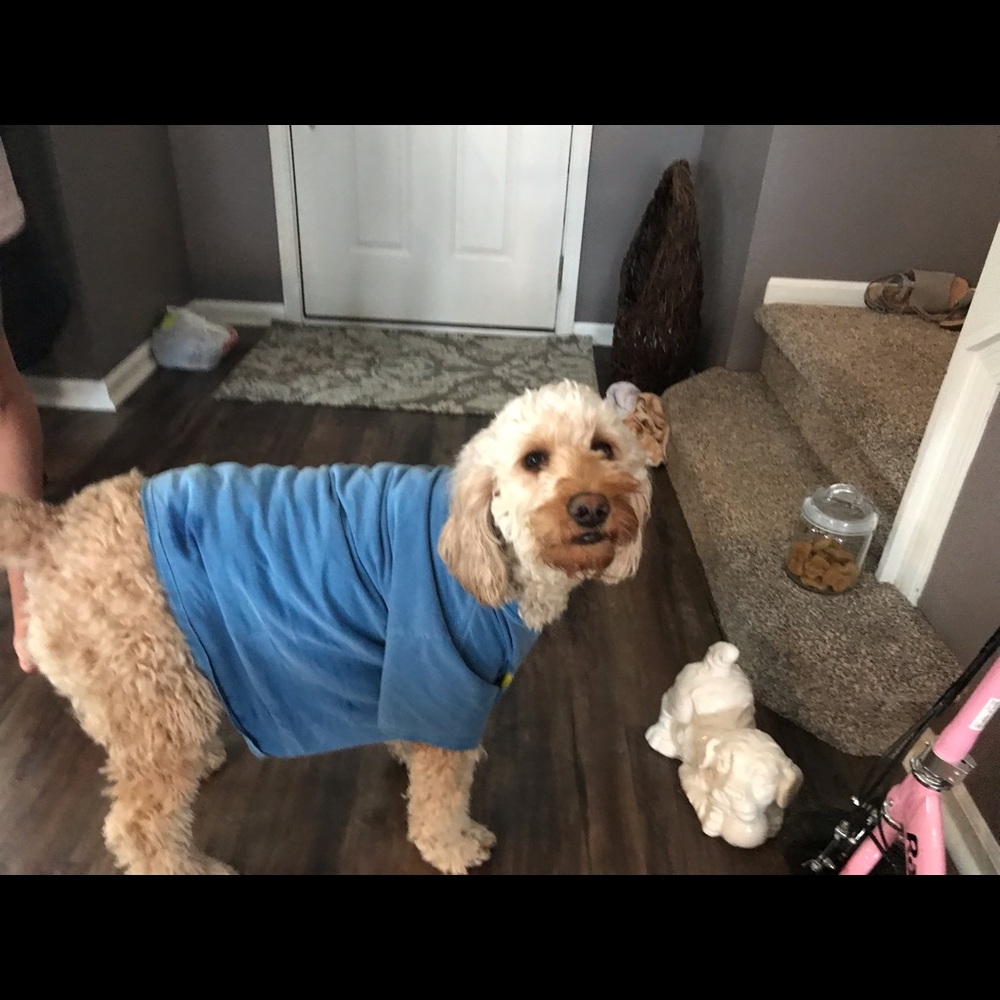 Meet your Posher, Yetta